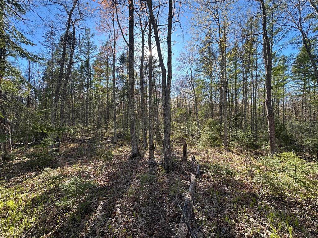 TBD #1 110th Avenue Finlayson MN 55735 7076499 image7