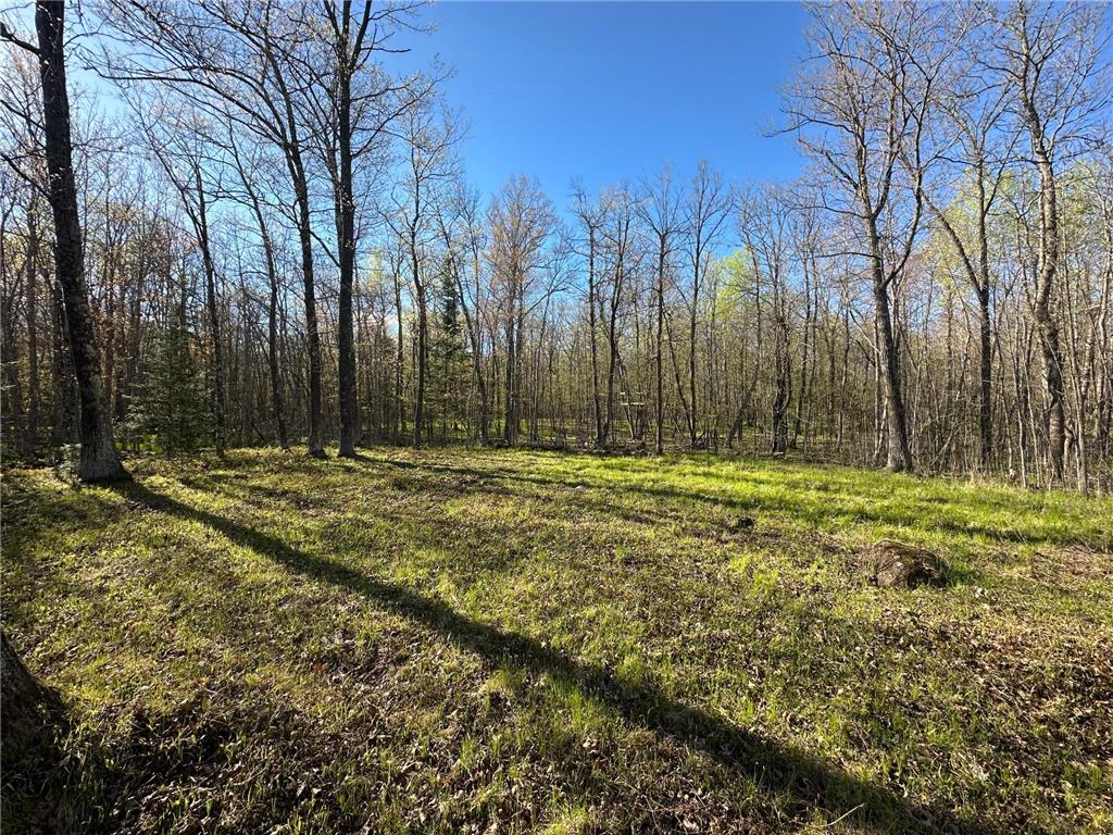 TBD #1 110th Avenue Finlayson MN 55735 7076499 image8