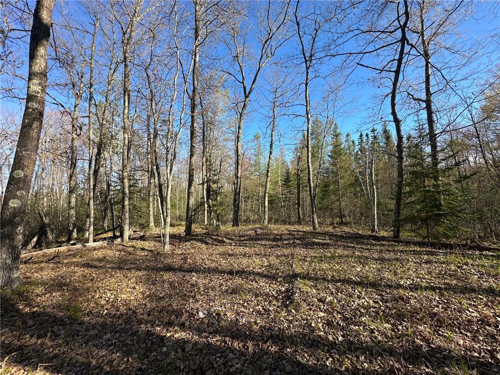 TBD #1 110th Avenue Finlayson MN 55735 7076499 image9