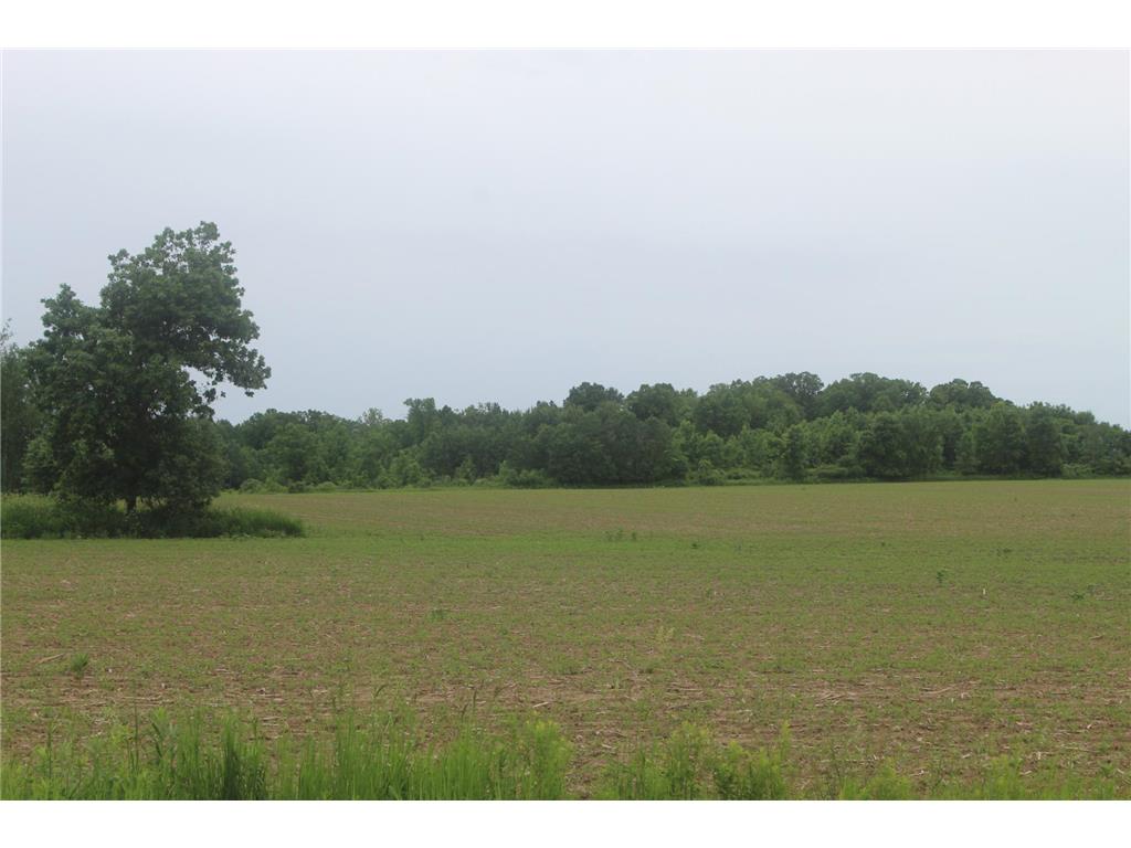 TBD-1 120th Avenue Ogilvie MN 56358 7091971 image5