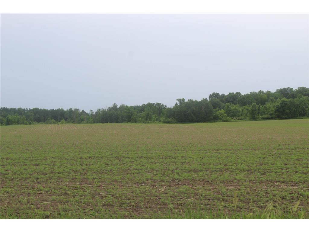 TBD-1 120th Avenue Ogilvie MN 56358 7091971 image6