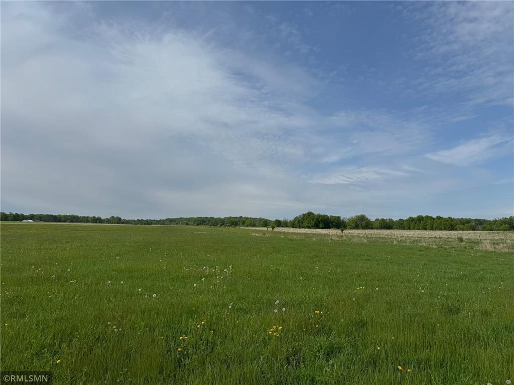 TBD - #1 Blossom Street Ogilvie MN 56358 6727417 image4