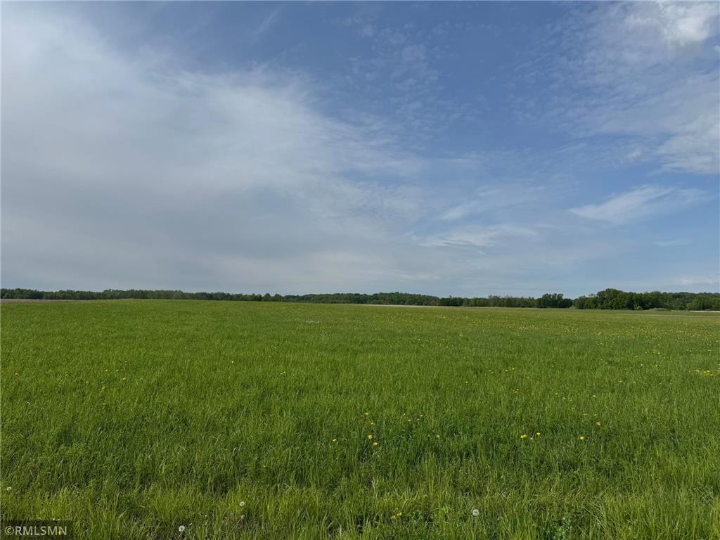 TBD - #1 Blossom Street Ogilvie MN 56358 6727417 image5