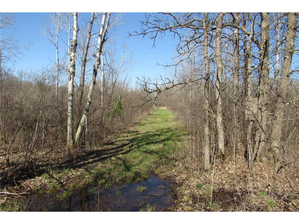 TBD-1 County Road 41 Willow River MN 55795 7092265 image5