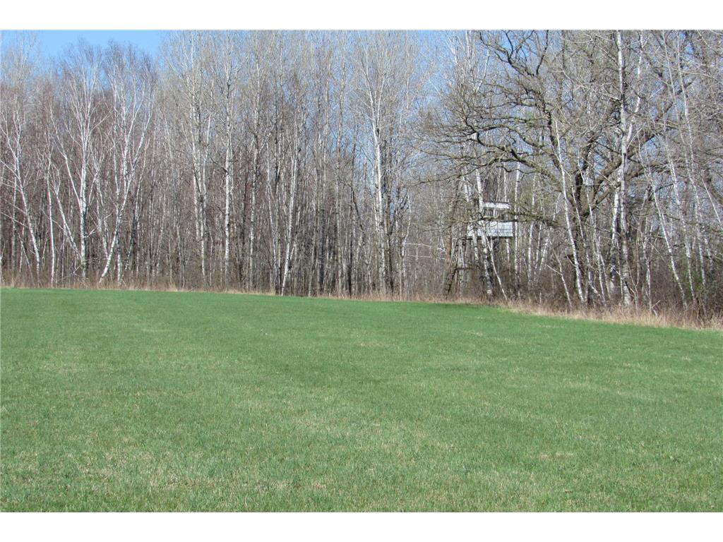 TBD-1 County Road 41 Willow River MN 55795 7092265 image7