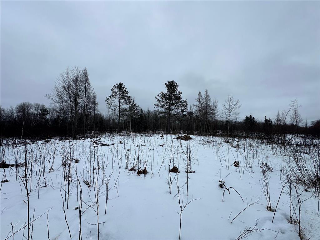 TBD #1 Koecher Road Kerrick MN 55756 7002694 image10