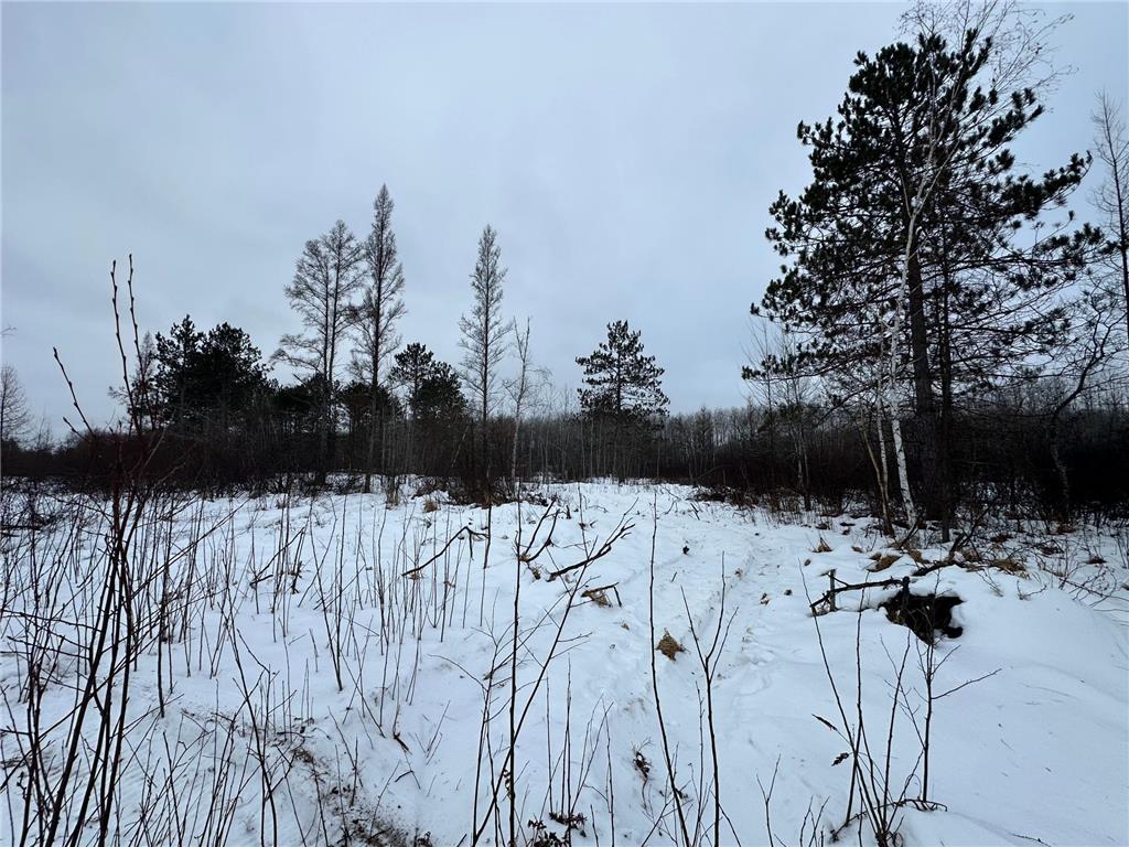 TBD #1 Koecher Road Kerrick MN 55756 7002694 image12