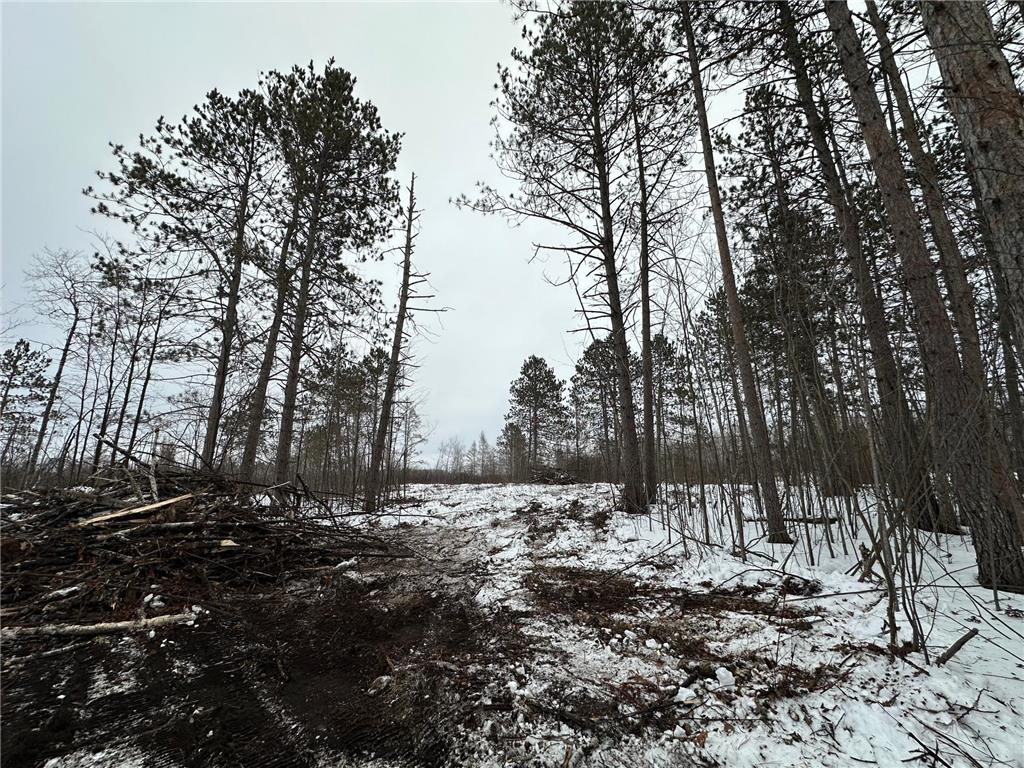 TBD #1 Koecher Road Kerrick MN 55756 7002694 image13
