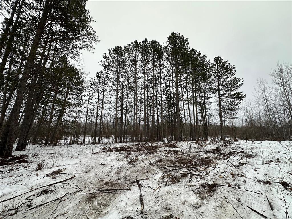 TBD #1 Koecher Road Kerrick MN 55756 7002694 image2