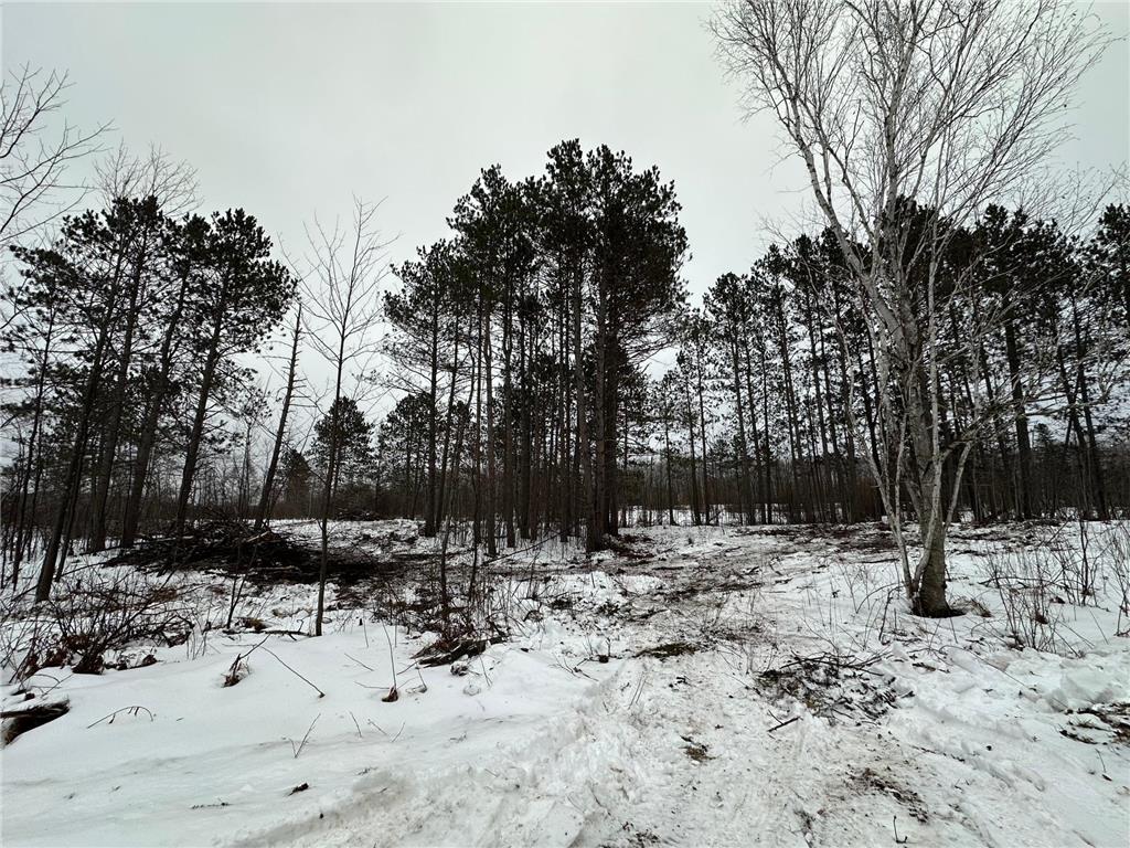TBD #1 Koecher Road Kerrick MN 55756 7002694 image4