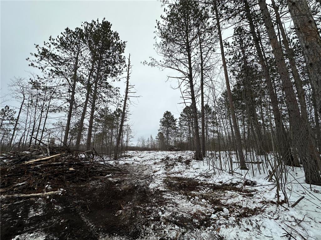 TBD #1 Koecher Road Kerrick MN 55756 7002694 image5