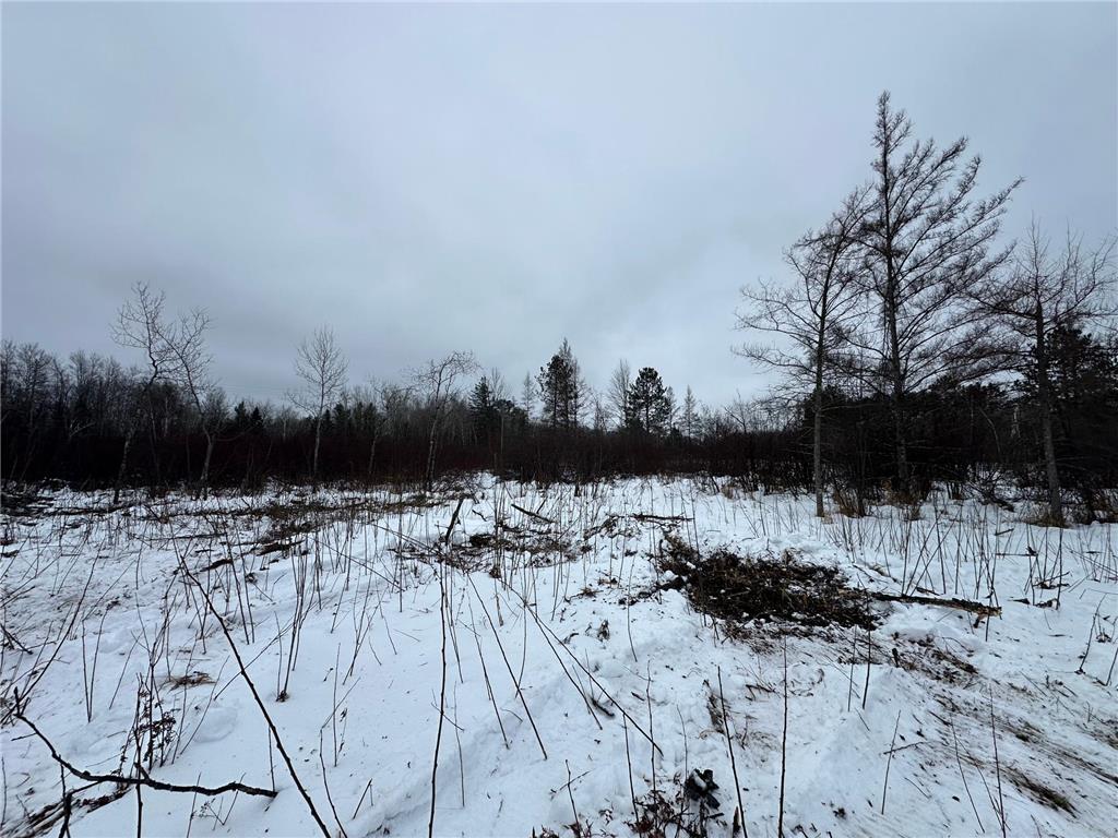 TBD #1 Koecher Road Kerrick MN 55756 7002694 image7