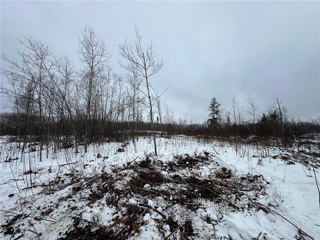 TBD #1 Koecher Road Kerrick MN 55756 7002694 image8