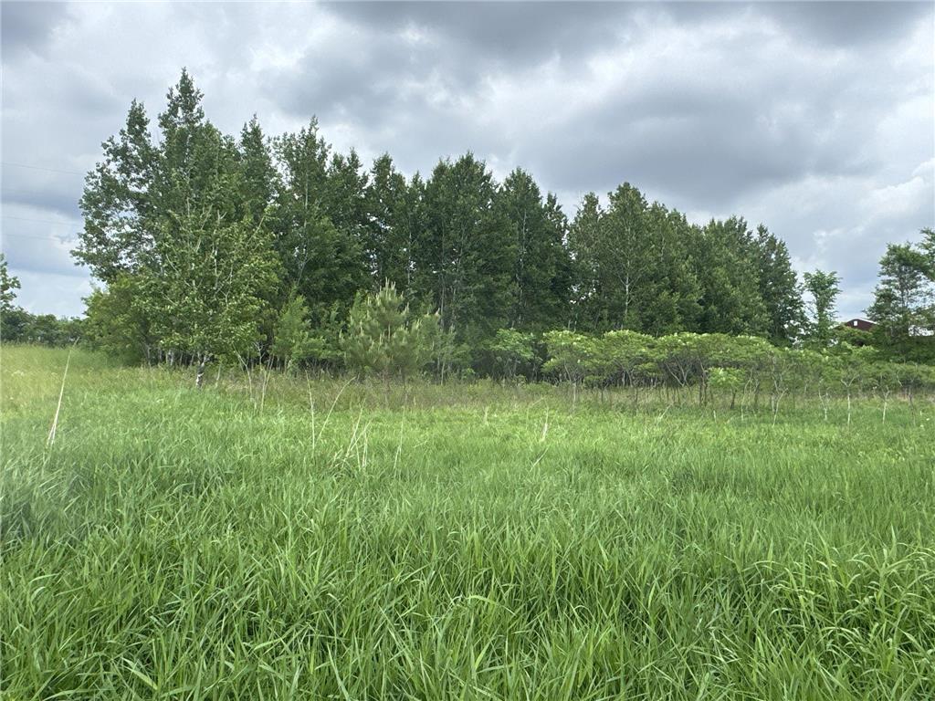 TBD 10 1/2 Avenue Turtle Lake WI 54004 7089865 image1