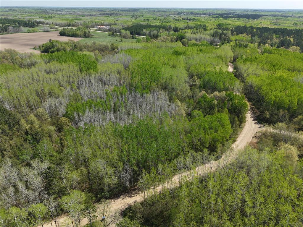 TBD 10 Bog Lake Trail Osage MN 56570 7039565 image8