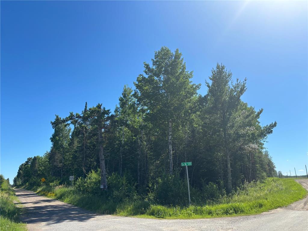TBD 10 County Rd 75 Gheen MN 55771 7106003 image1