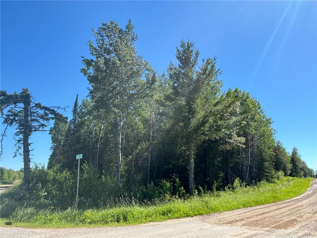 TBD 10 County Rd 75 Gheen MN 55771 7106003 image2