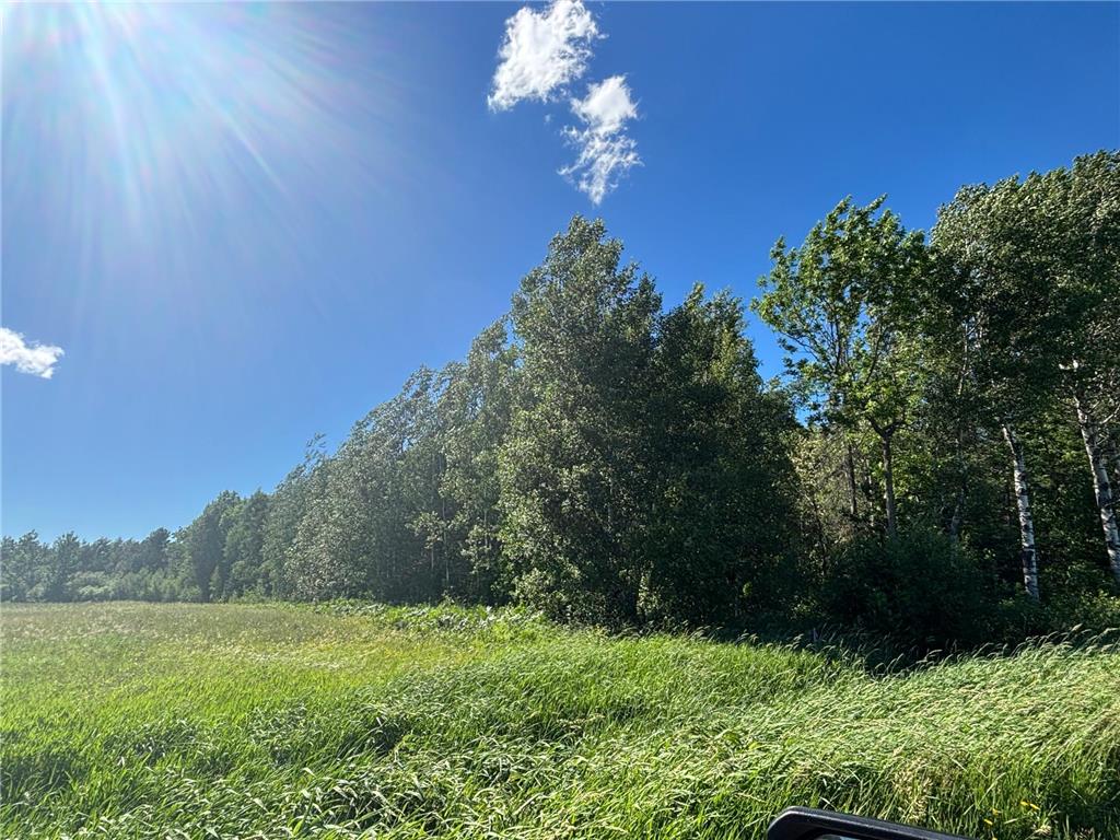 TBD 10 County Rd 75 Gheen MN 55771 7106003 image4
