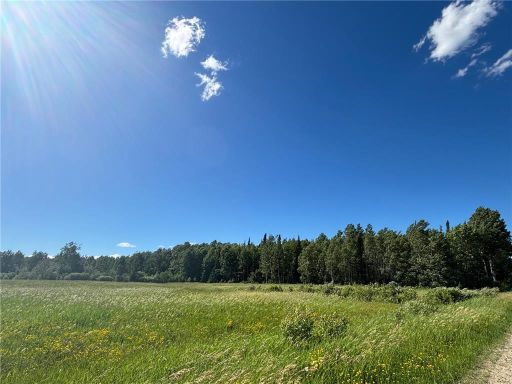 TBD 10 County Rd 75 Gheen MN 55771 7106003 image5