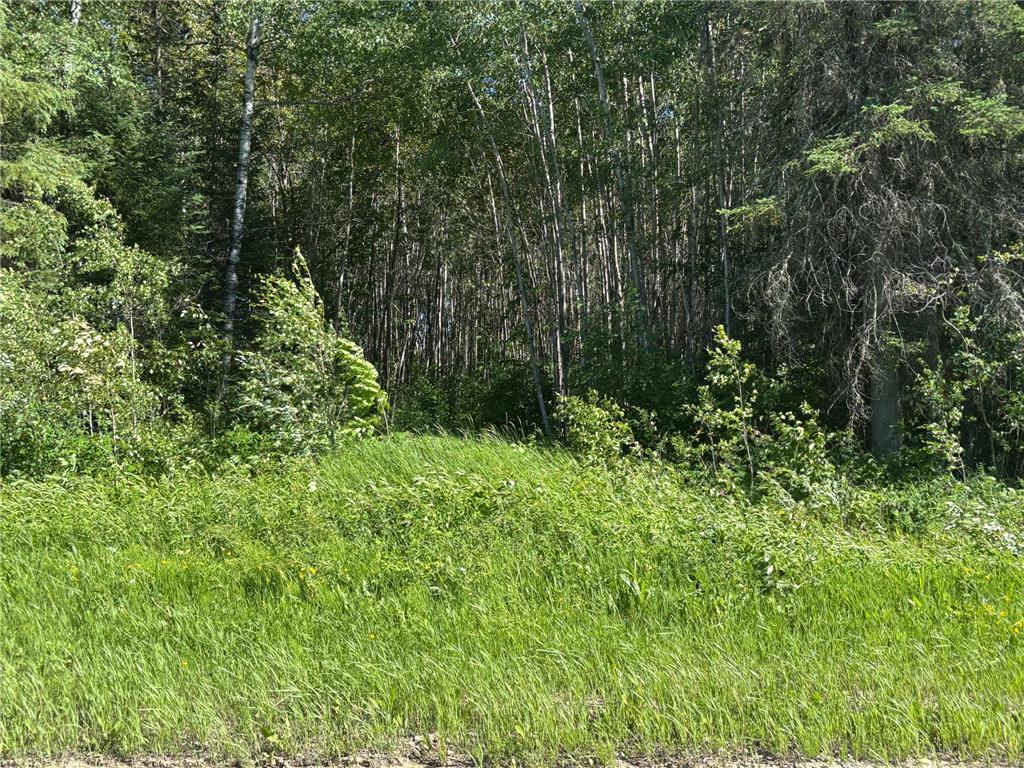 TBD 10 County Rd 75 Gheen MN 55771 7106003 image6
