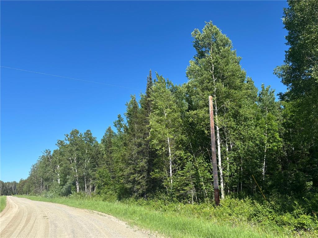 TBD 10 County Rd 75 Gheen MN 55771 7106003 image7