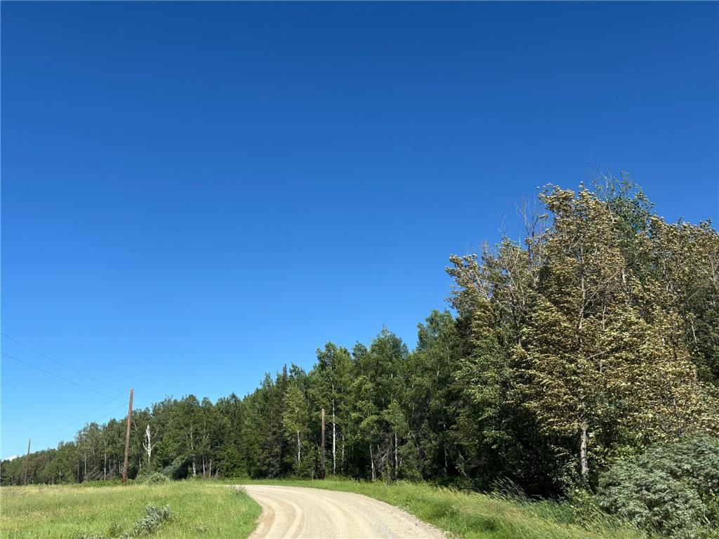 TBD 10 County Rd 75 Gheen MN 55771 7106003 image8