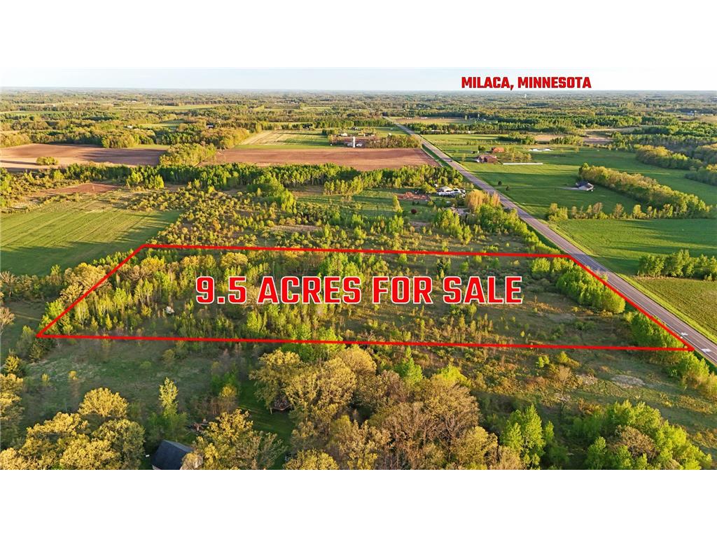 TBD 100 Avenue Borgholm Twp MN 56353 7077678 image1