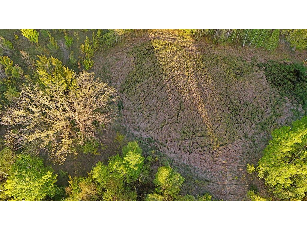 TBD 100 Avenue Borgholm Twp MN 56353 7077678 image10