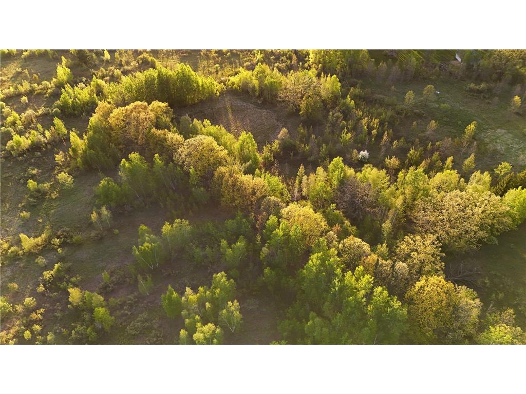 TBD 100 Avenue Borgholm Twp MN 56353 7077678 image11