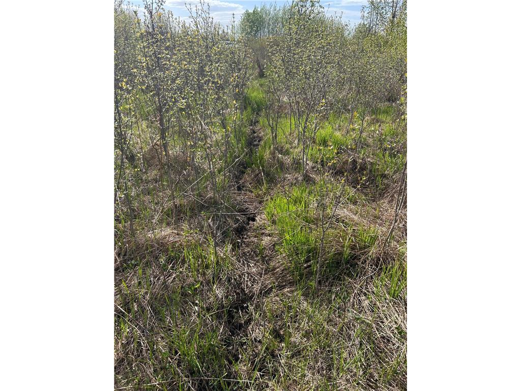 TBD 100 Avenue Borgholm Twp MN 56353 7077678 image13