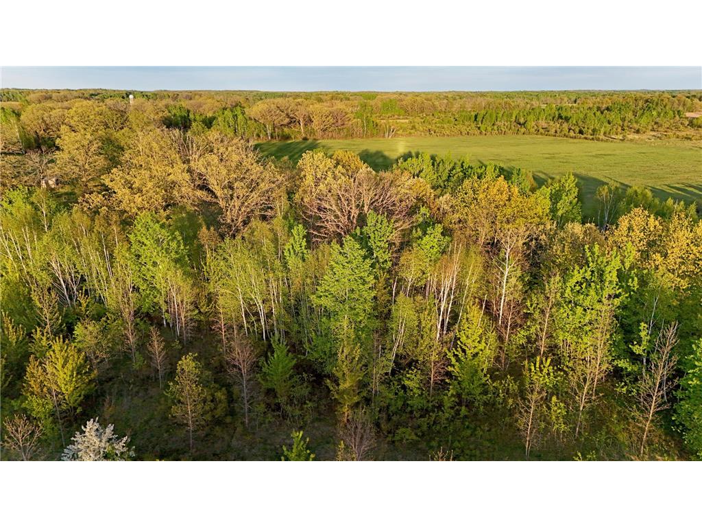 TBD 100 Avenue Borgholm Twp MN 56353 7077678 image14
