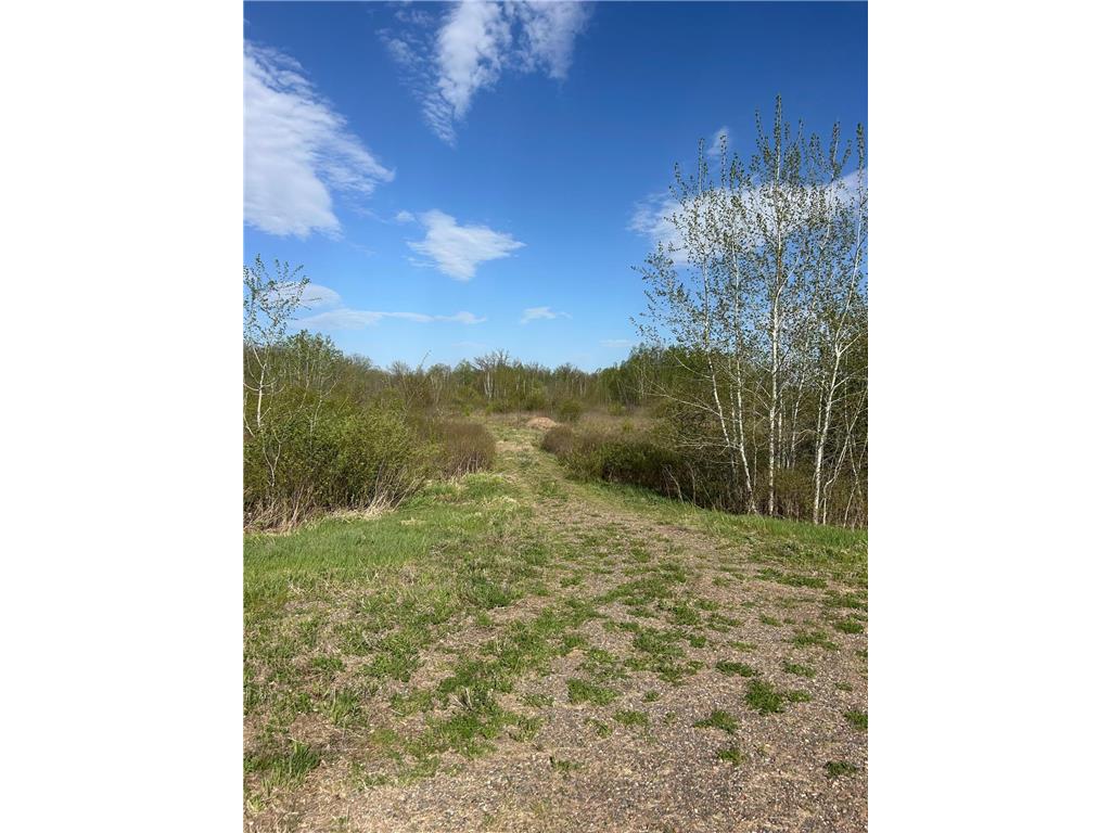TBD 100 Avenue Borgholm Twp MN 56353 7077678 image2