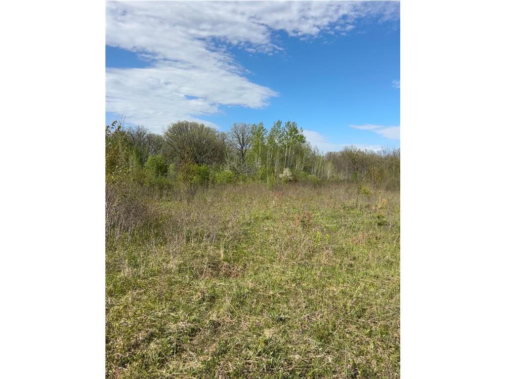 TBD 100 Avenue Borgholm Twp MN 56353 7077678 image5