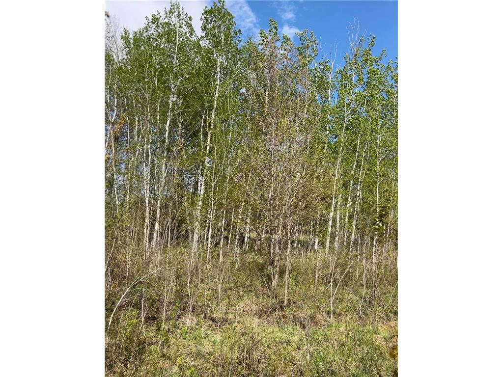 TBD 100 Avenue Borgholm Twp MN 56353 7077678 image6