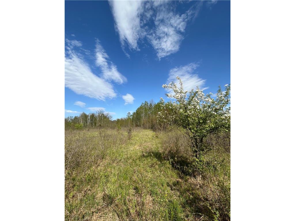 TBD 100 Avenue Borgholm Twp MN 56353 7077678 image7