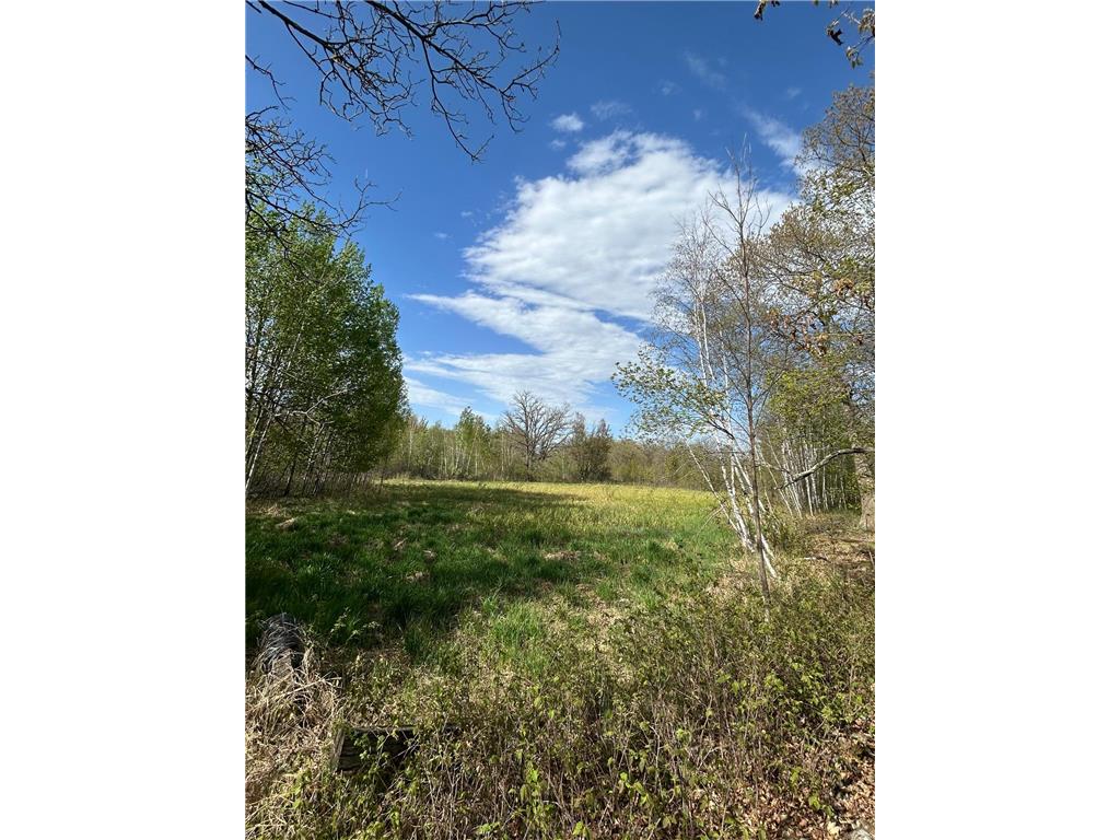 TBD 100 Avenue Borgholm Twp MN 56353 7077678 image8