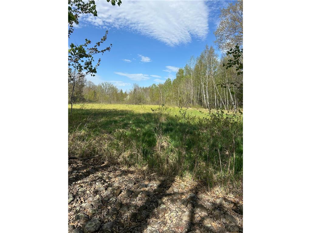 TBD 100 Avenue Borgholm Twp MN 56353 7077678 image9