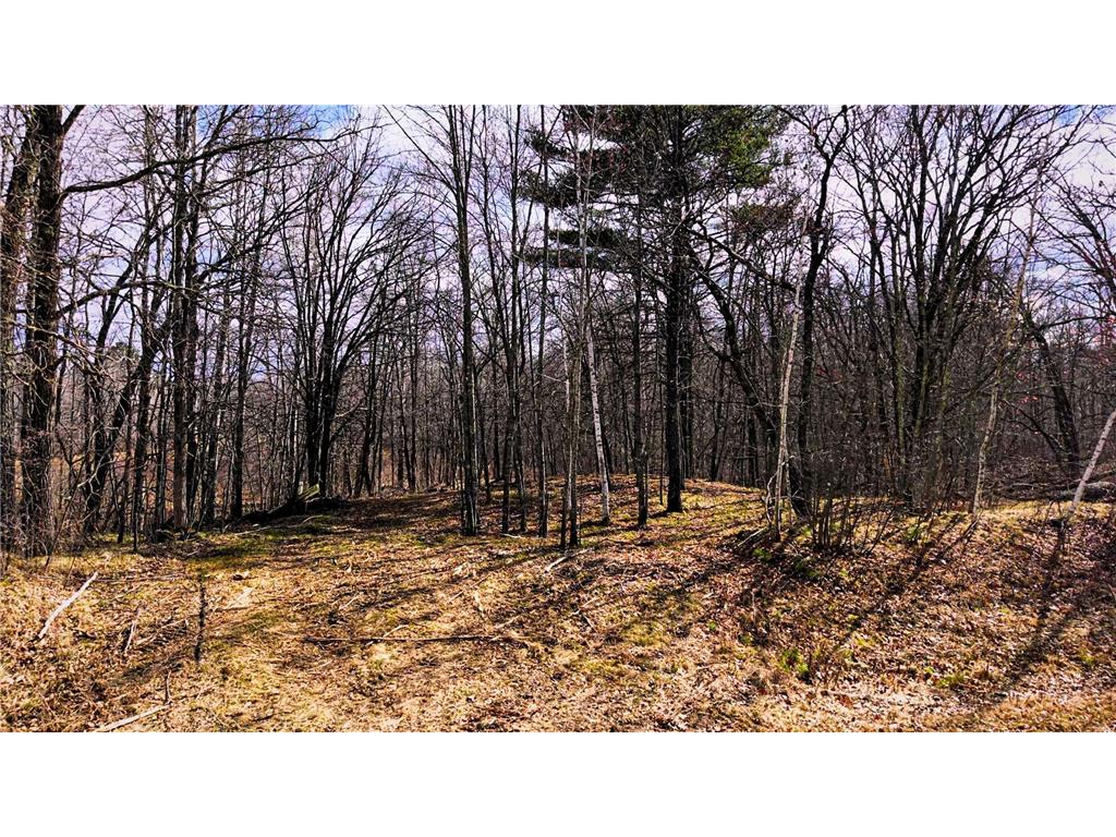 TBD 100 Street NW Laporte MN 56461 7059167 image1