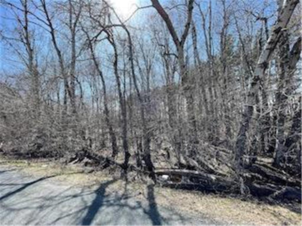 TBD 100th Street, Black Brook Twp, WI 54007 MLS 6363742 Edina Realty