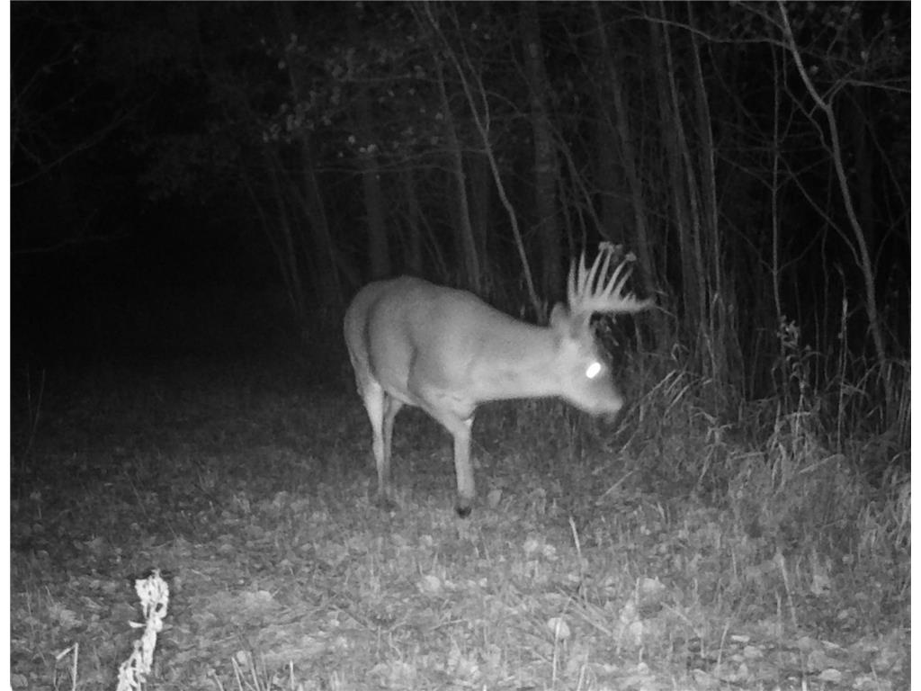 TBD 109th Ave Red Eye Twp MN 56477 - Red Eye River 6633306 image1