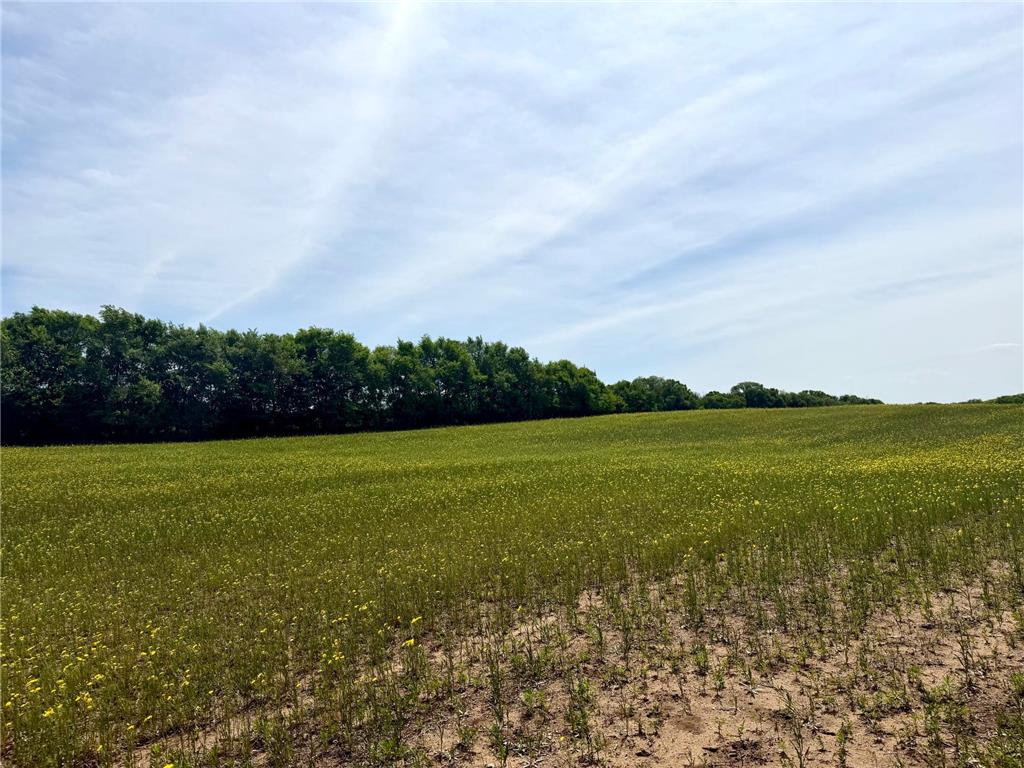 TBD-10AC 87th Street SE Becker MN 55308 7105769 image19