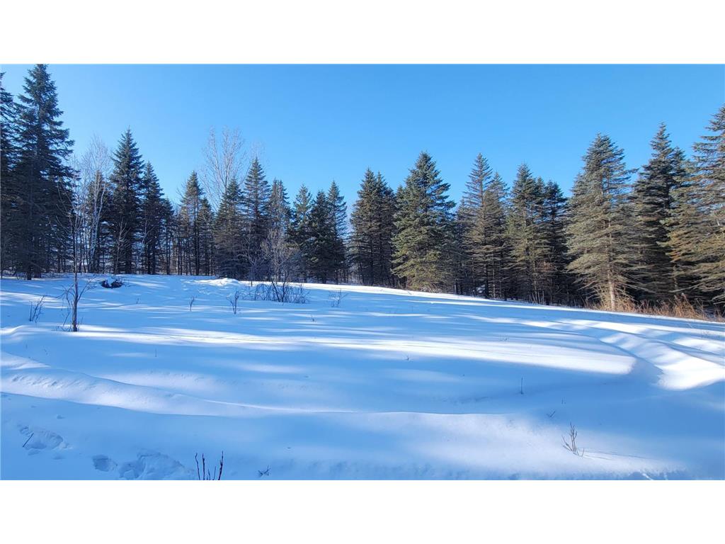 TBD 10th Avenue Alexandria MN 56308 - Mina 7016838 image10