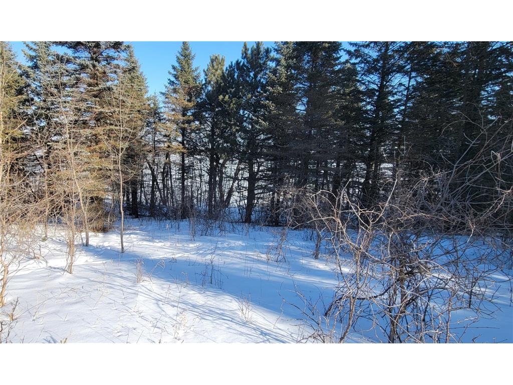 TBD 10th Avenue Alexandria MN 56308 - Mina 7016838 image11