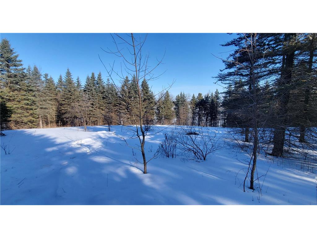 TBD 10th Avenue Alexandria MN 56308 - Mina 7016838 image5