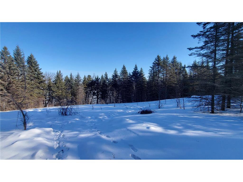 TBD 10th Avenue Alexandria MN 56308 - Mina 7016838 image6