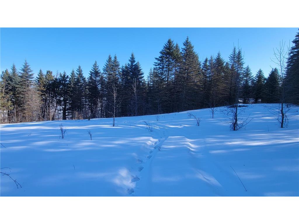 TBD 10th Avenue Alexandria MN 56308 - Mina 7016838 image7