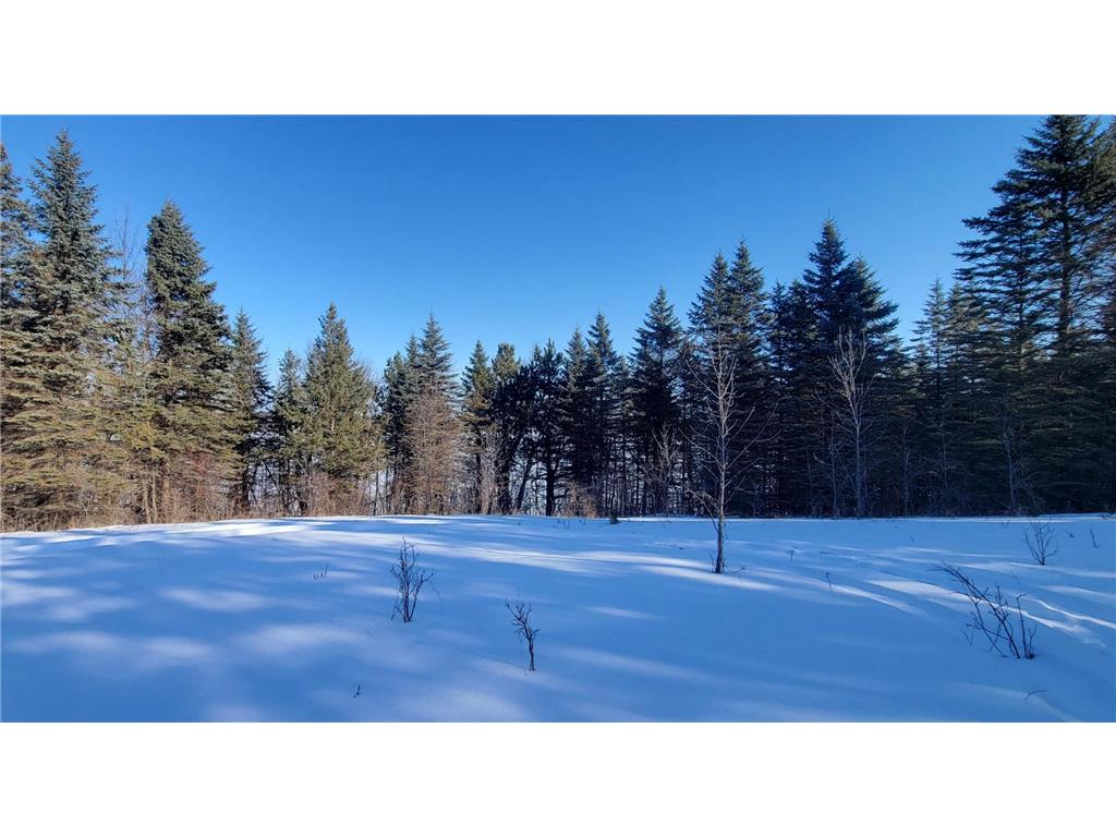 TBD 10th Avenue Alexandria MN 56308 - Mina 7016838 image8