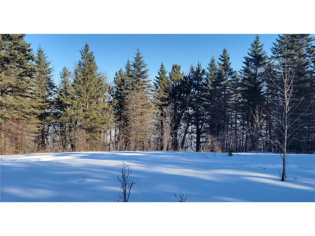 TBD 10th Avenue Alexandria MN 56308 - Mina 7016838 image9