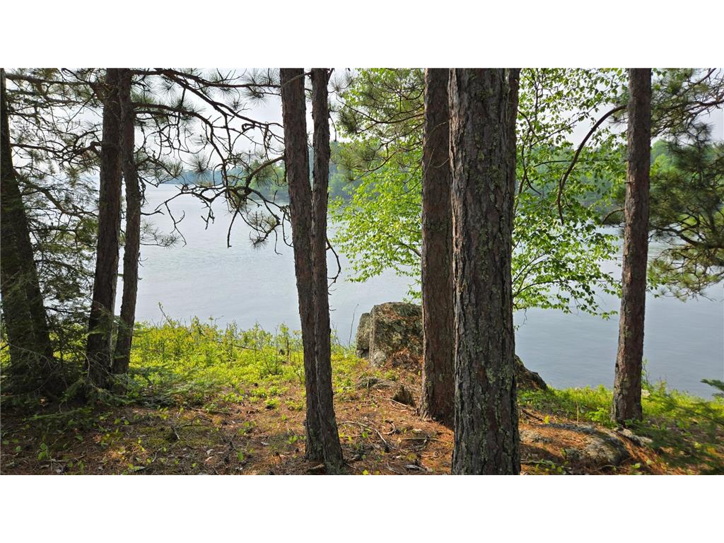 TBD 11.85 Bessette Road Orr MN 55771 - Pelican 6731377 image23