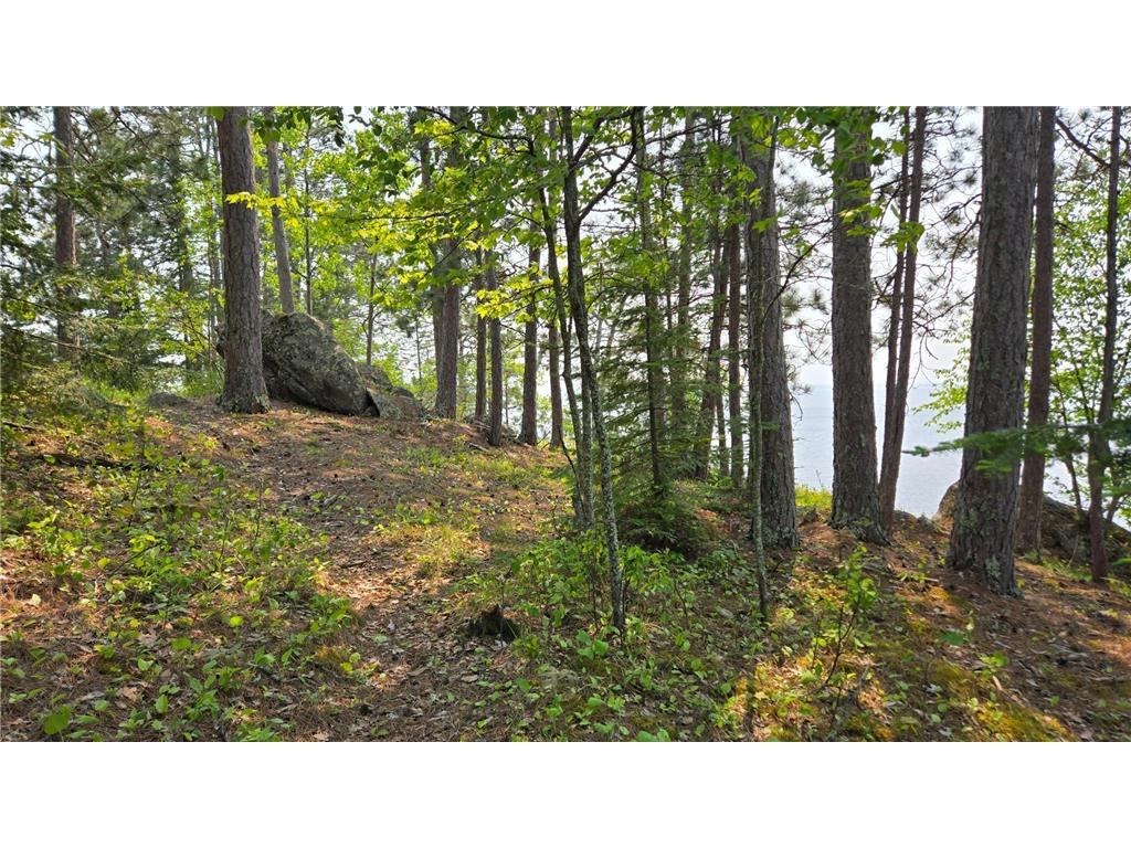 TBD 11.85 Bessette Road Orr MN 55771 - Pelican 6731377 image25